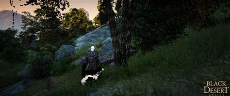 red tree lump bdo|bdo old tree bark gathering.